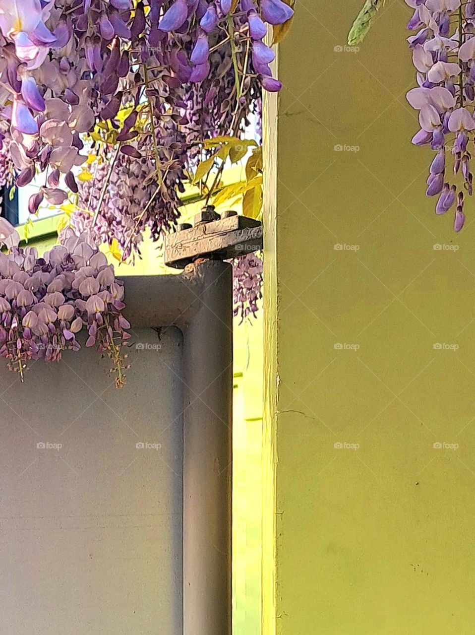 complementary colors