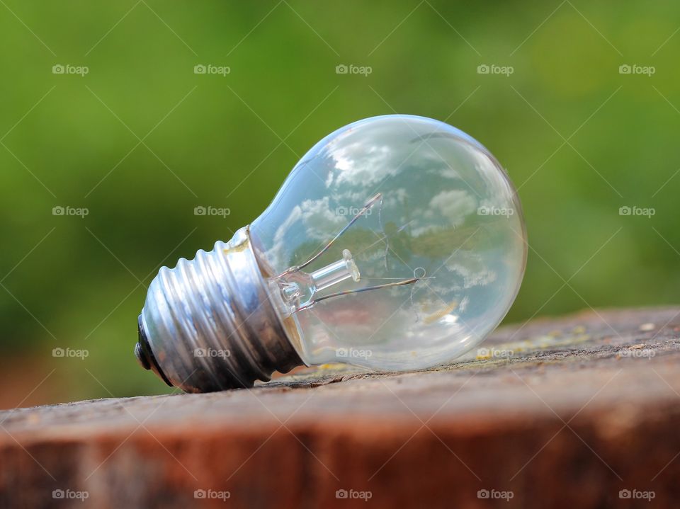 Macro lamp on a tree log