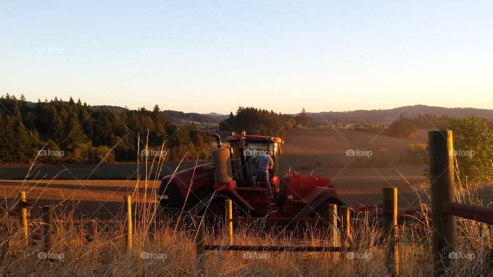 Harvest. Farmer finishing the harvest in beautiful evening light.