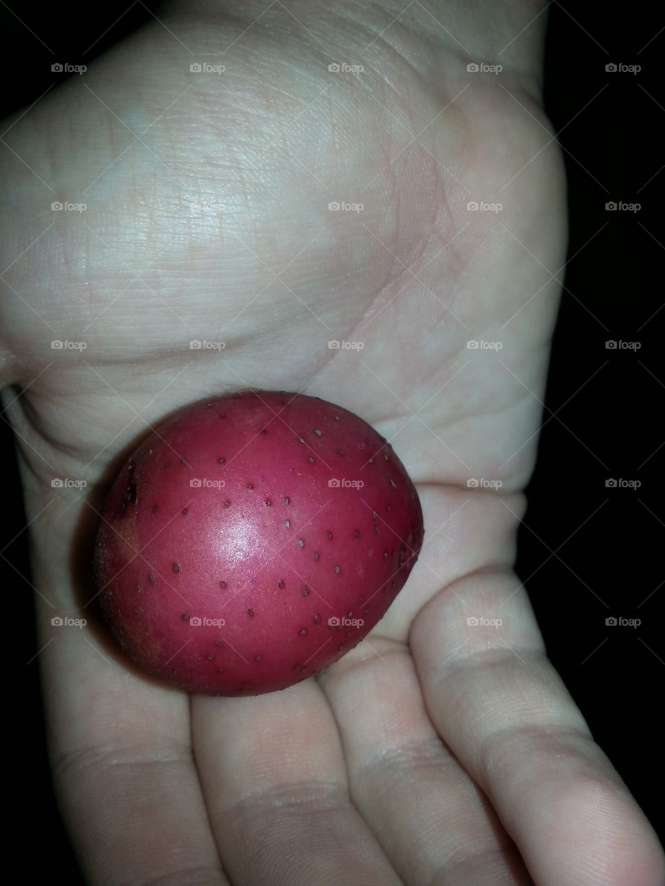 red potato