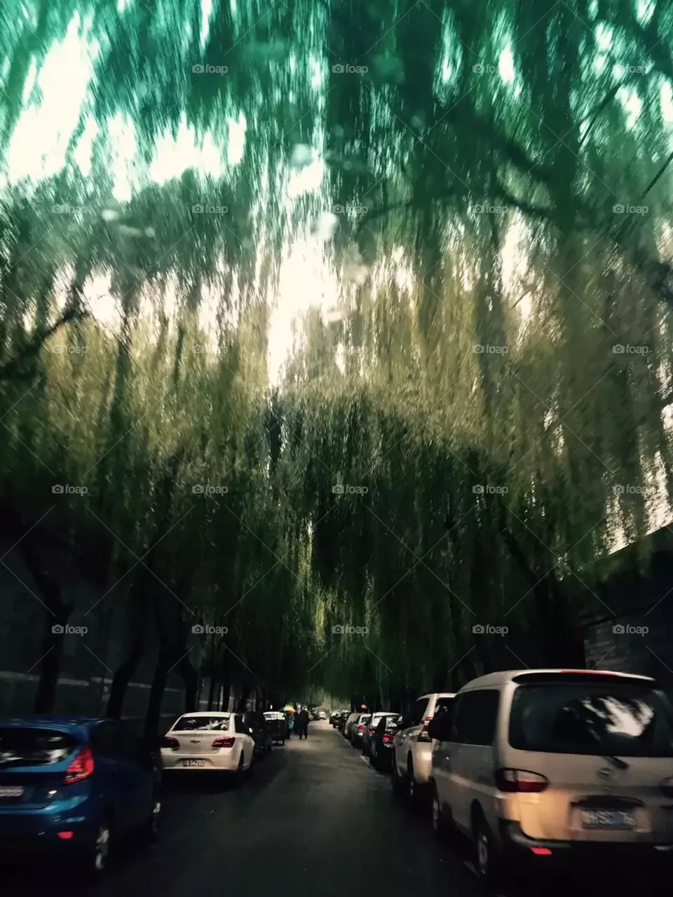 Green Trees