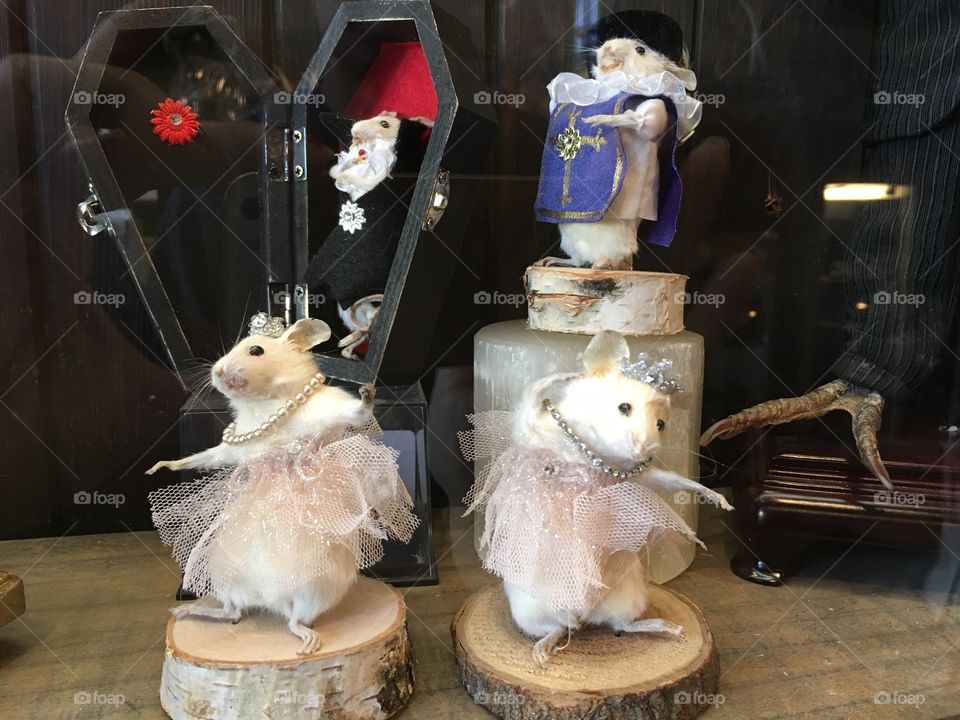 Taxidermy mice ballerinas 