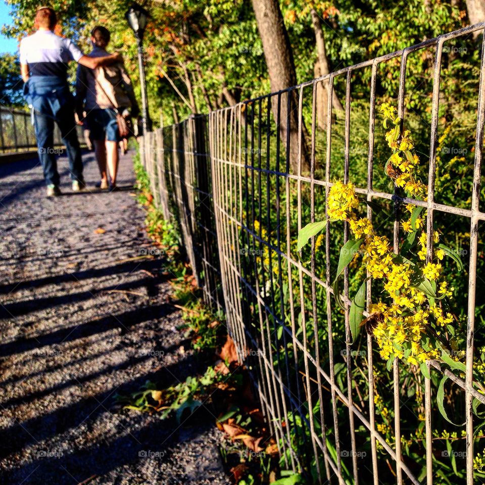 Reservoir Path. People enjoying a gorgeous fall afternoon in New York's Central Park
