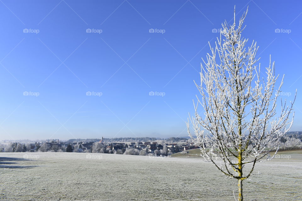 landscape - winter morning with blue sky