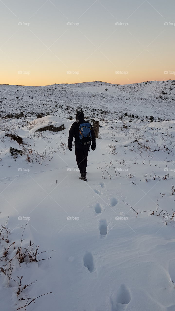 Walking in the snow