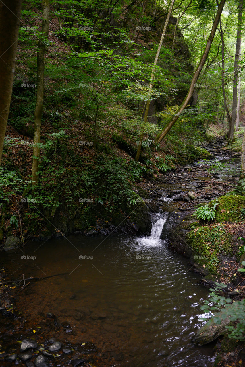 wild stream Brodenbach at hunsrueck mountains. located next to moselle valley in rhineland-palatinate, germany