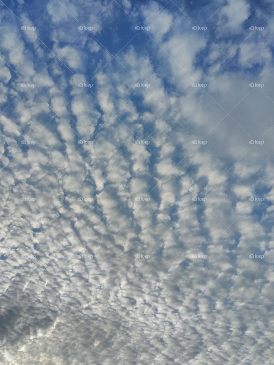 ripple clouds soft as a dream