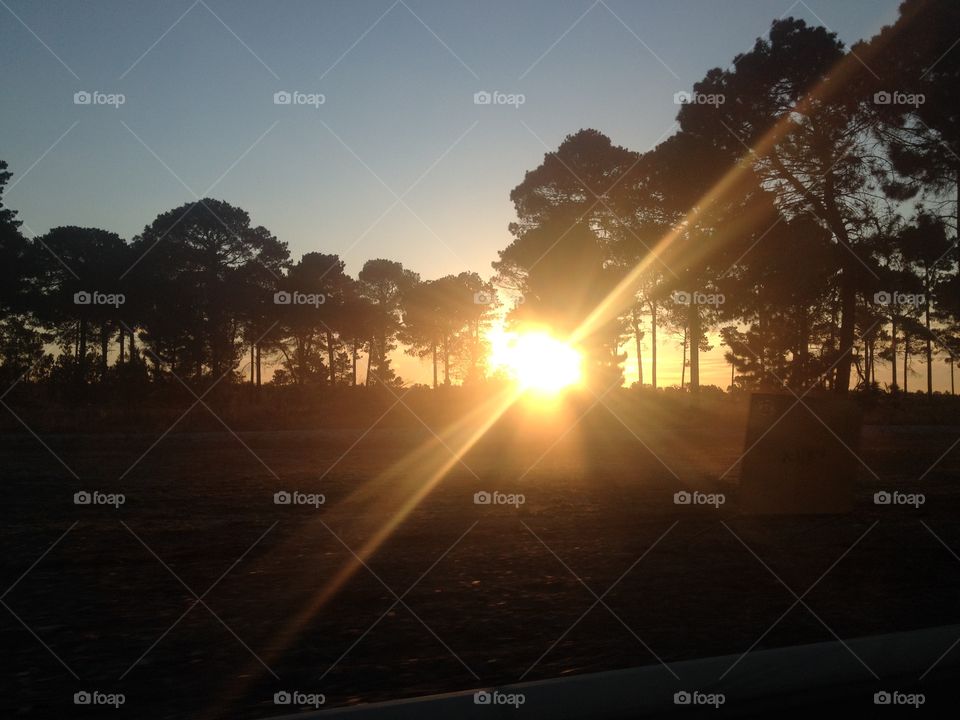 Sunset through trees