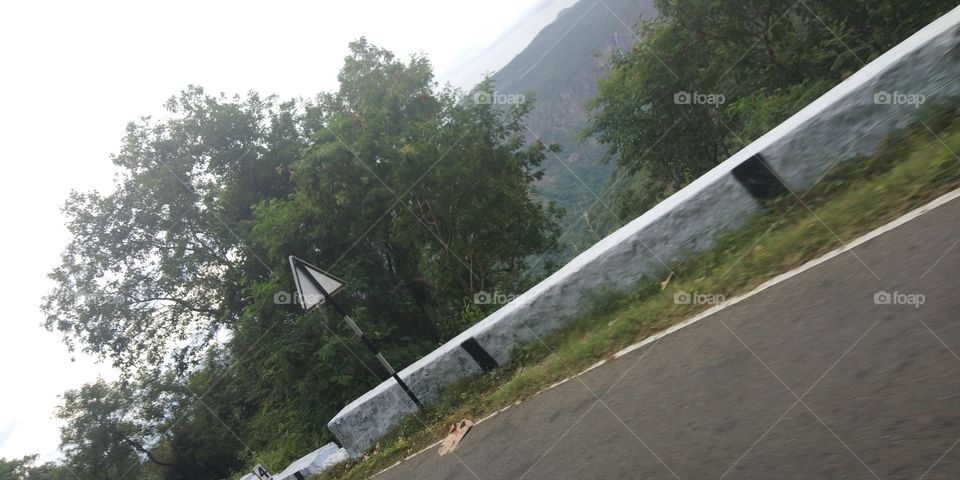 Tree, Landscape, Road, Travel, Environment