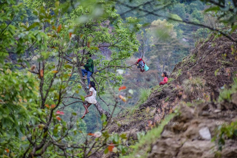 Goat herders resting on tree