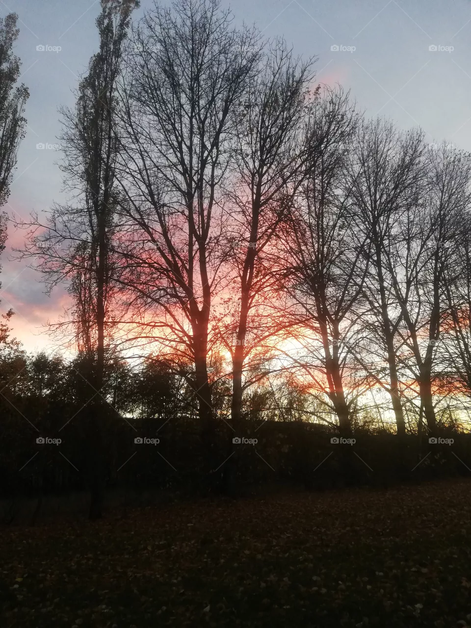 Sonnenuntergang