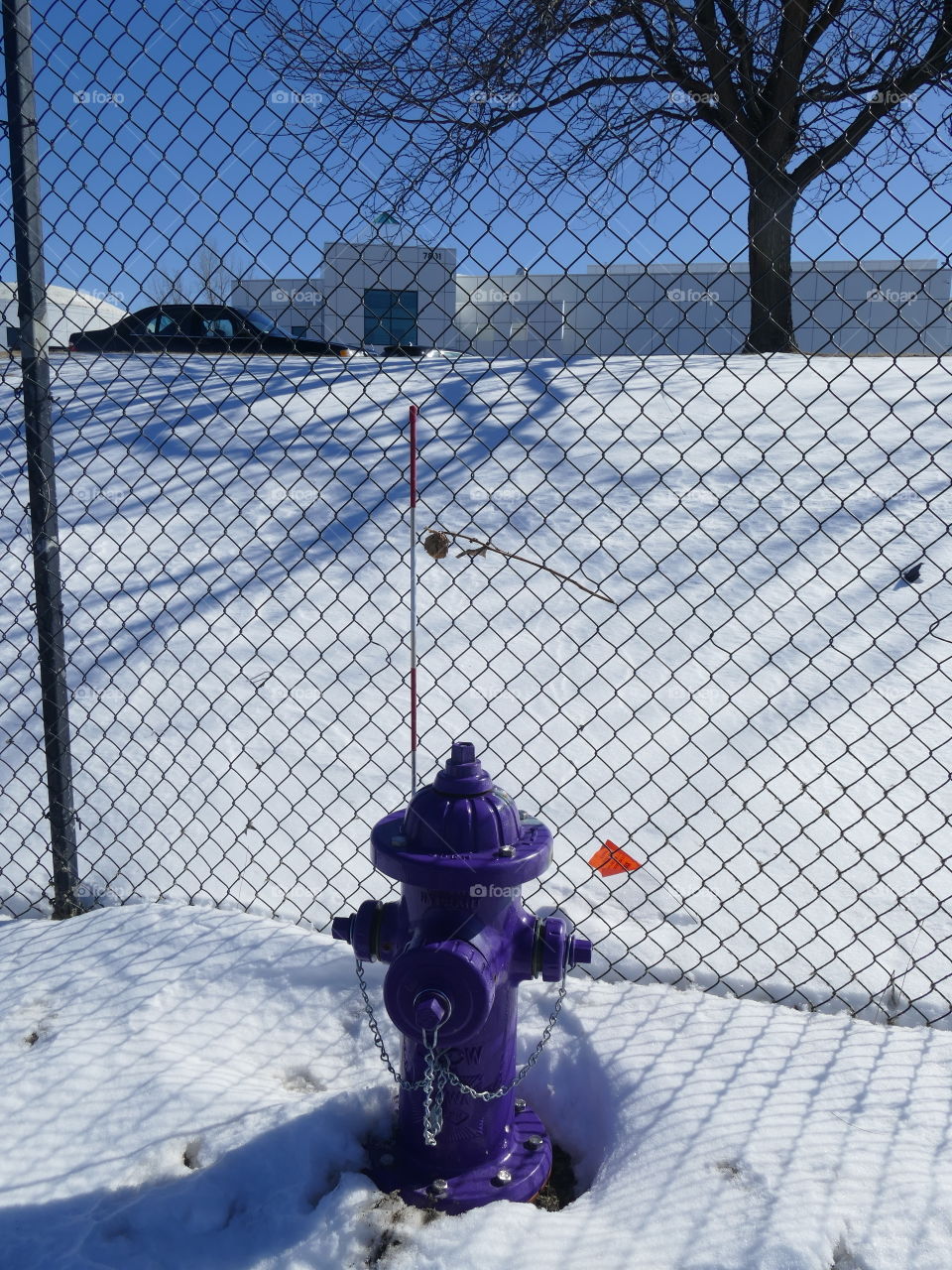 The purple fire hydrant outside Paisley Park.