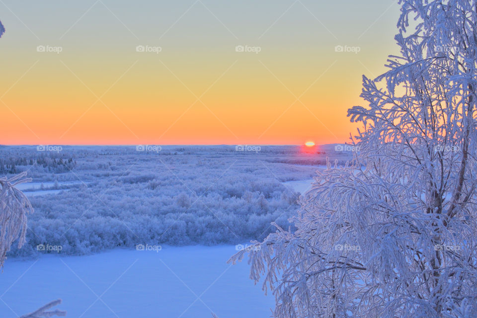 Winter, winter time, winter landscape, winter fairy tale, frost, frosty lace, north, arctic, snow, winter sunset, winter morning, snowy land, northern land, northern latitude, cold, red, frosty morning, snow on branches, ice, icy branches, sun, winte