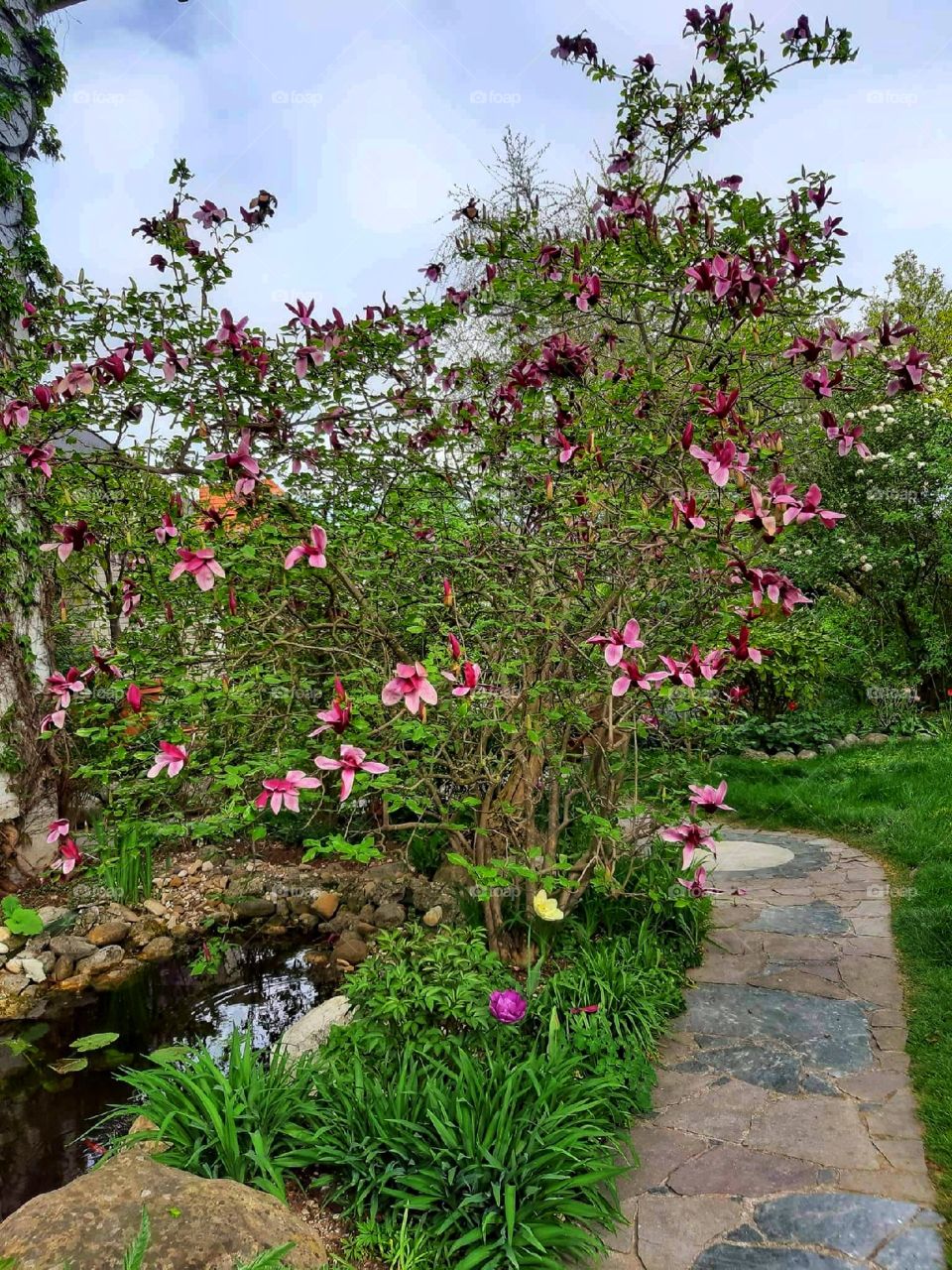 Pink flowers everywhere