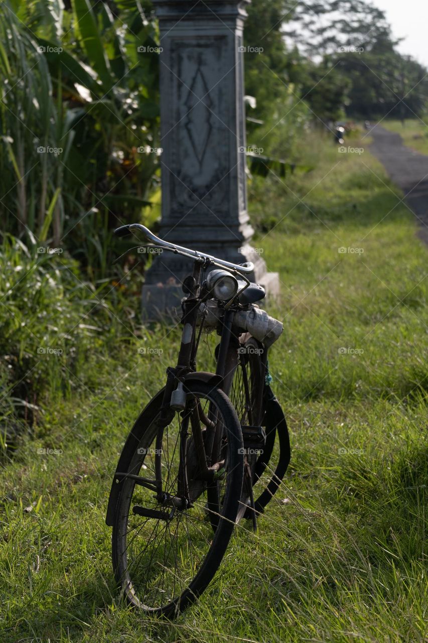 an old bicycle laid out on the grass