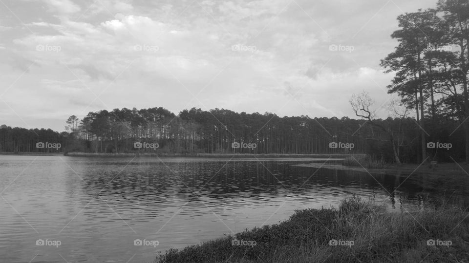 lake grayscale