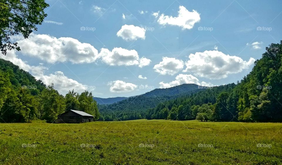 Cataloochee valley in the great smoky mountains