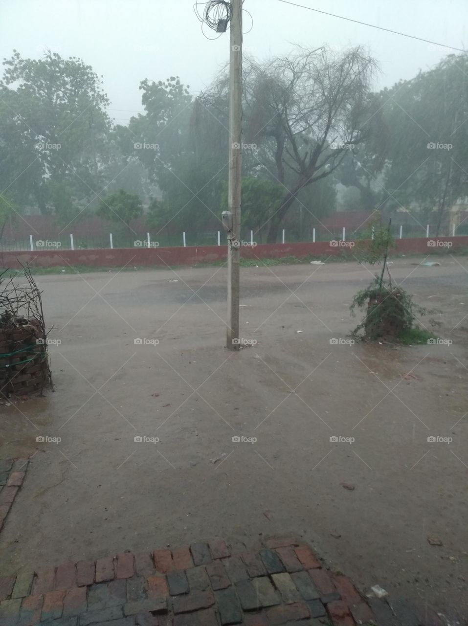 heavy rain and fast wind blowing, water on the road, green plant moving here and there