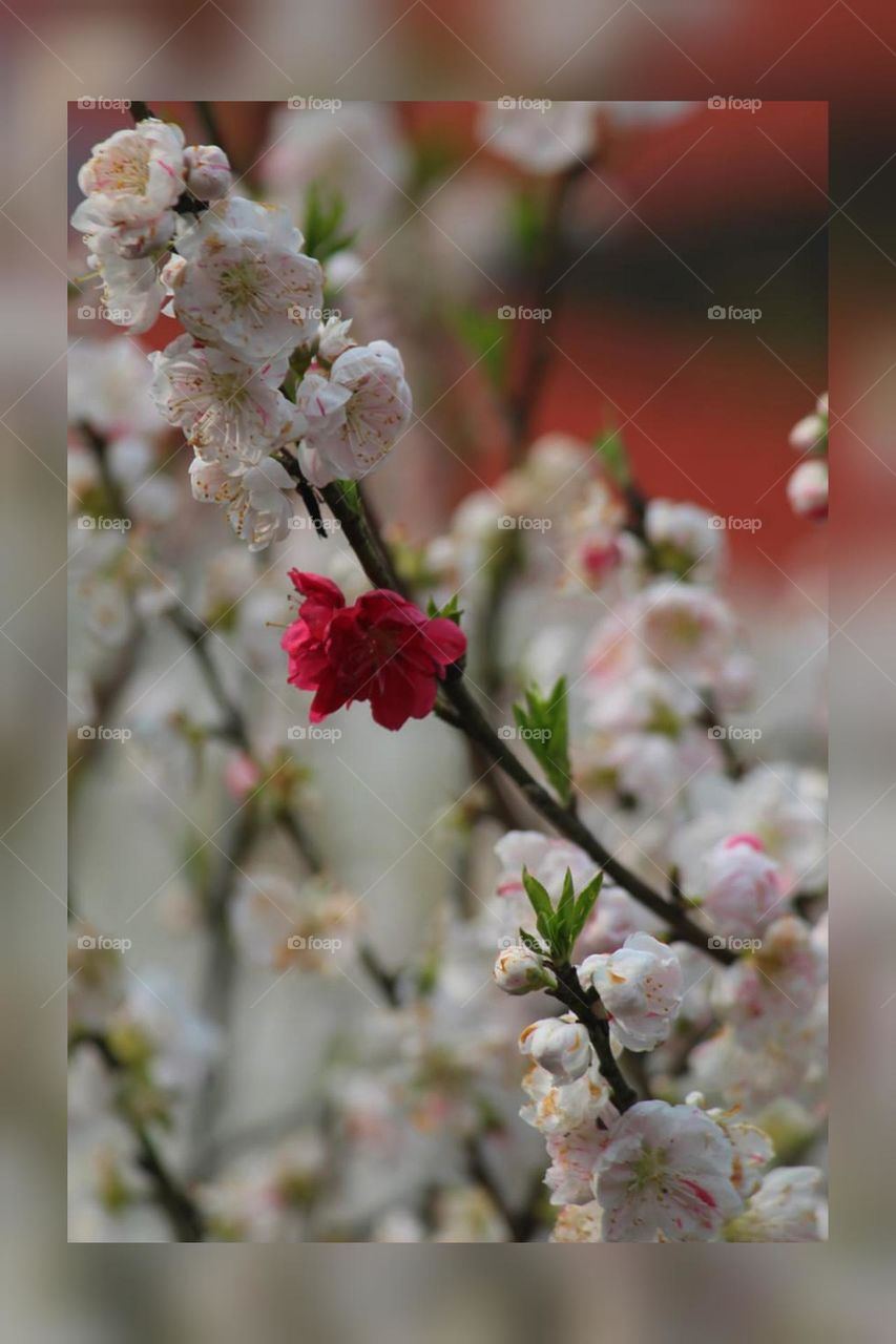 Enjoying the Sun shines and rays🌄❤️