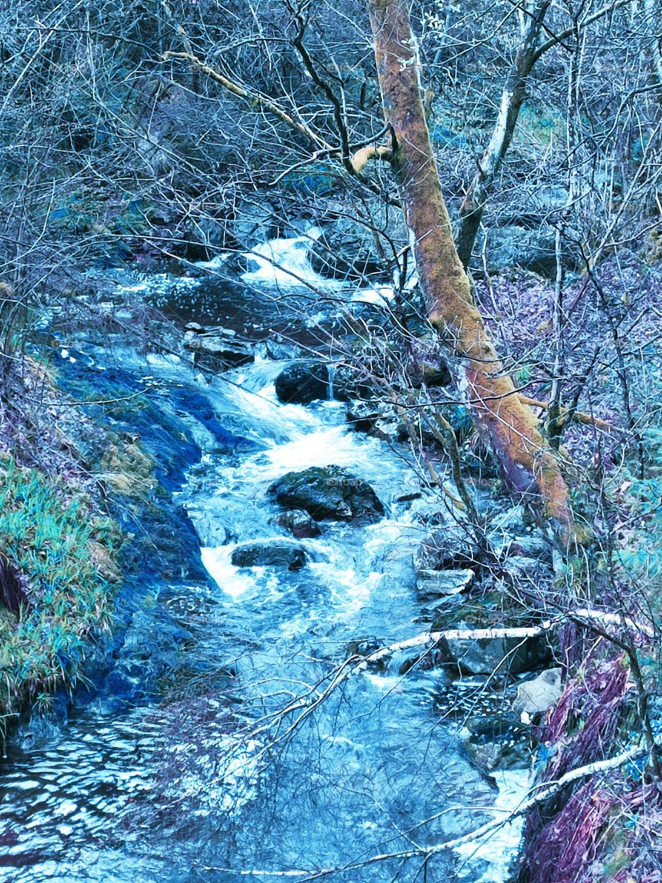 Walk in the woods, Bayehon waterfall