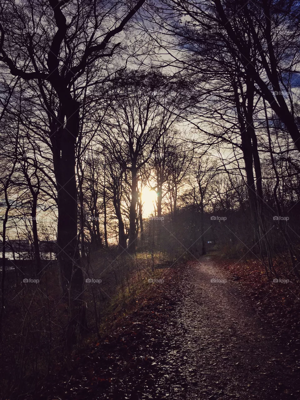 Autumn view.