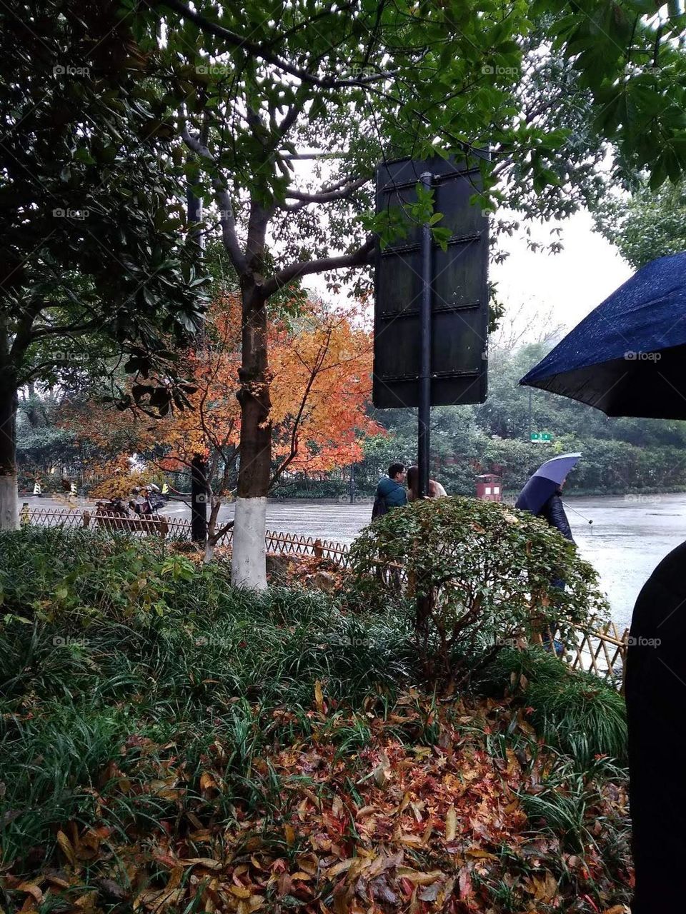 Walk in Hangzhou garden 