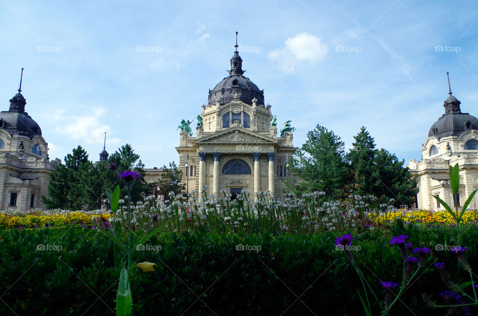 Flower beds in front of the Szecheny Bath in Budapest, Germany.