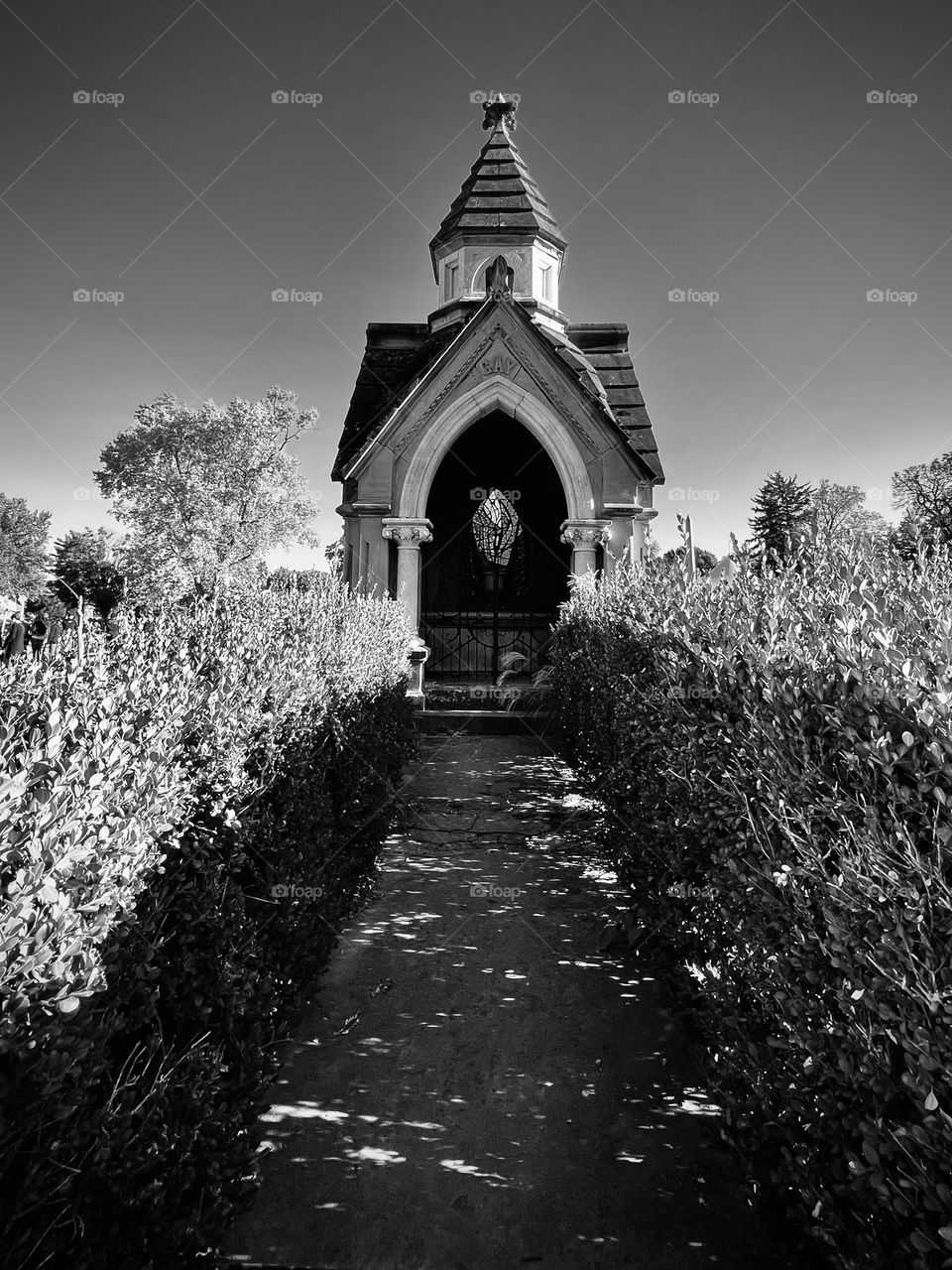 A hauntingly beautiful crypt 