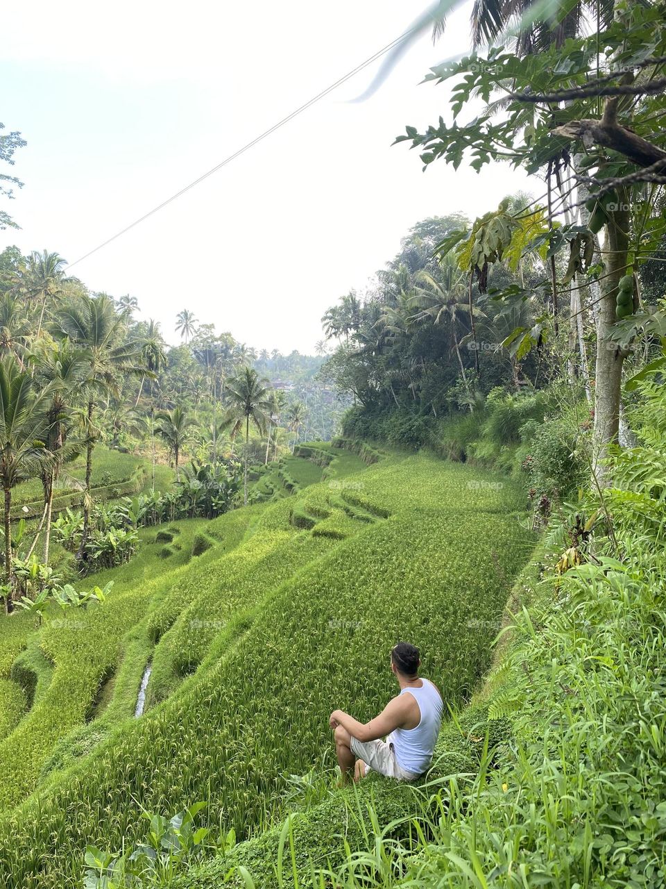 Bali Ubud