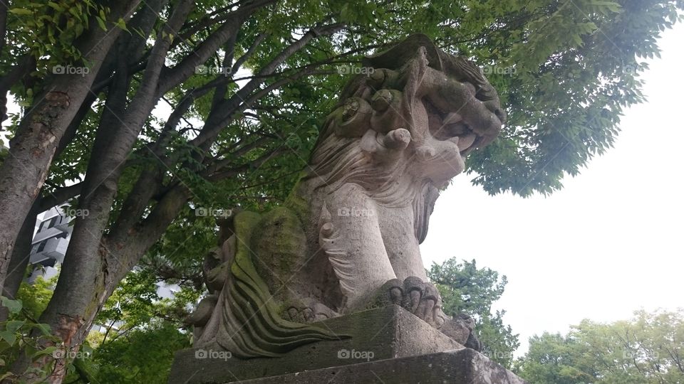 Guardian lion-dog at Shinto shrine