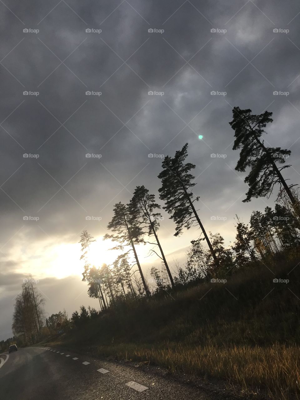 Solen försöker ta sig fram