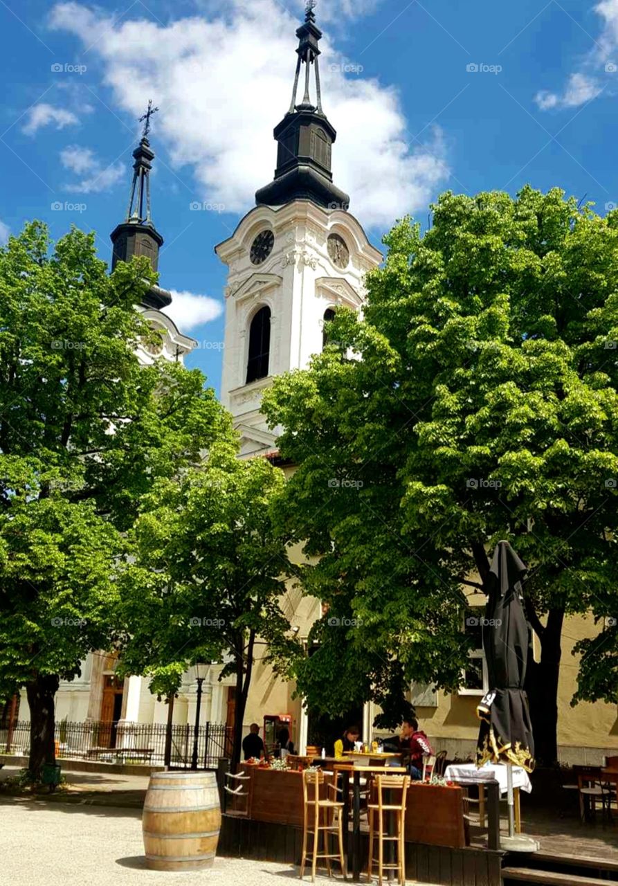 divine sremski karlovci