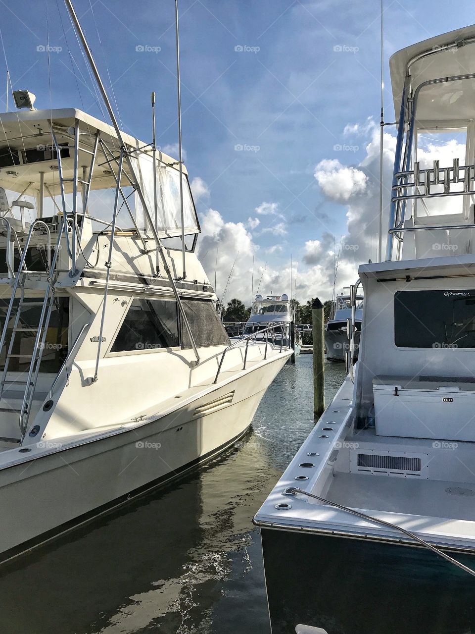 Yachts in Conch House Marina
