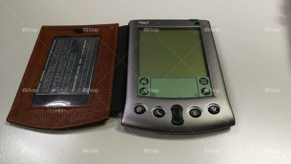 Vintage Palm Vx