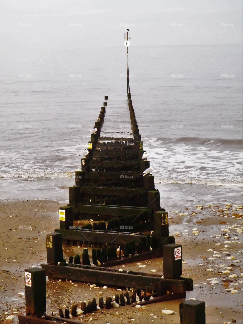 Black vs cold . December in Hunstanton UK 