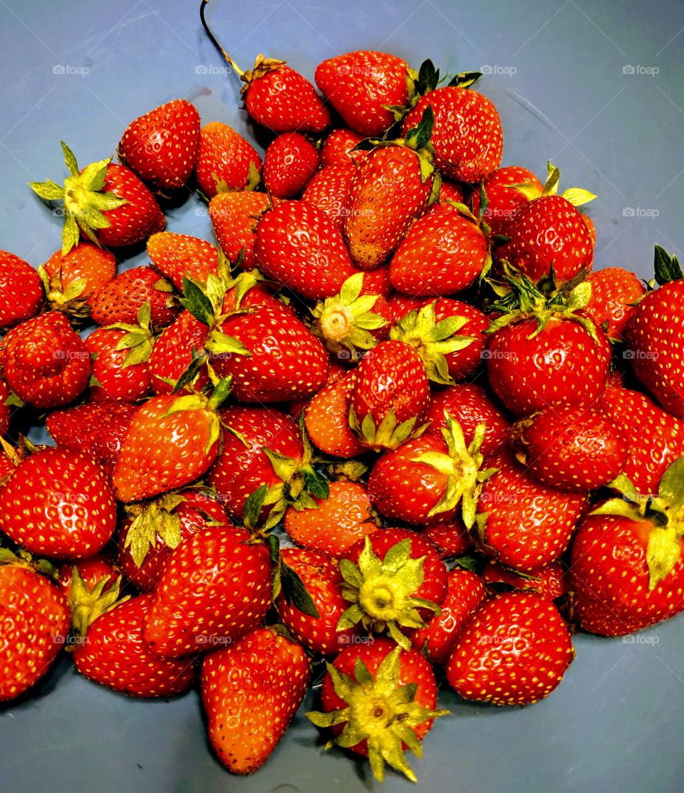 The first harvest of the sweetest strawberries.