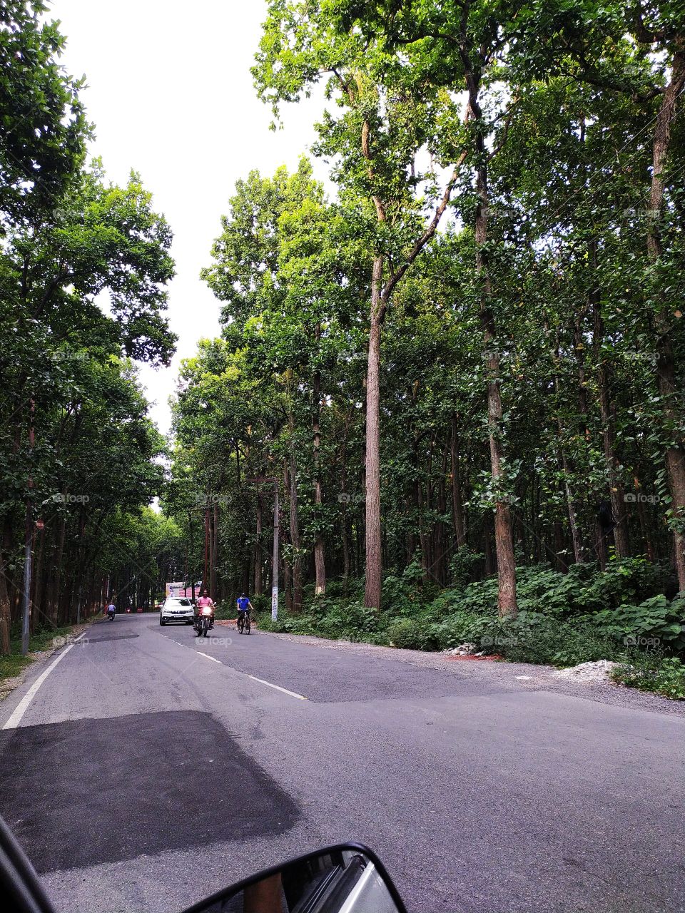 The woods are lovely dark and deep 
but I have promises to keep 
and miles to go before I sleep, 
and miles to go before I sleep.