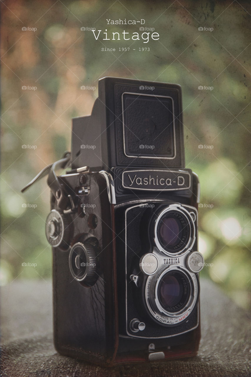 Yashica-D