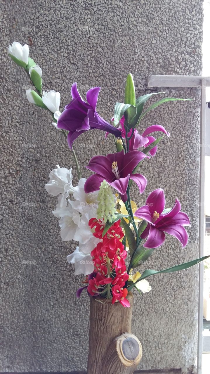 Flower, Flora, Nature, Garden, Leaf