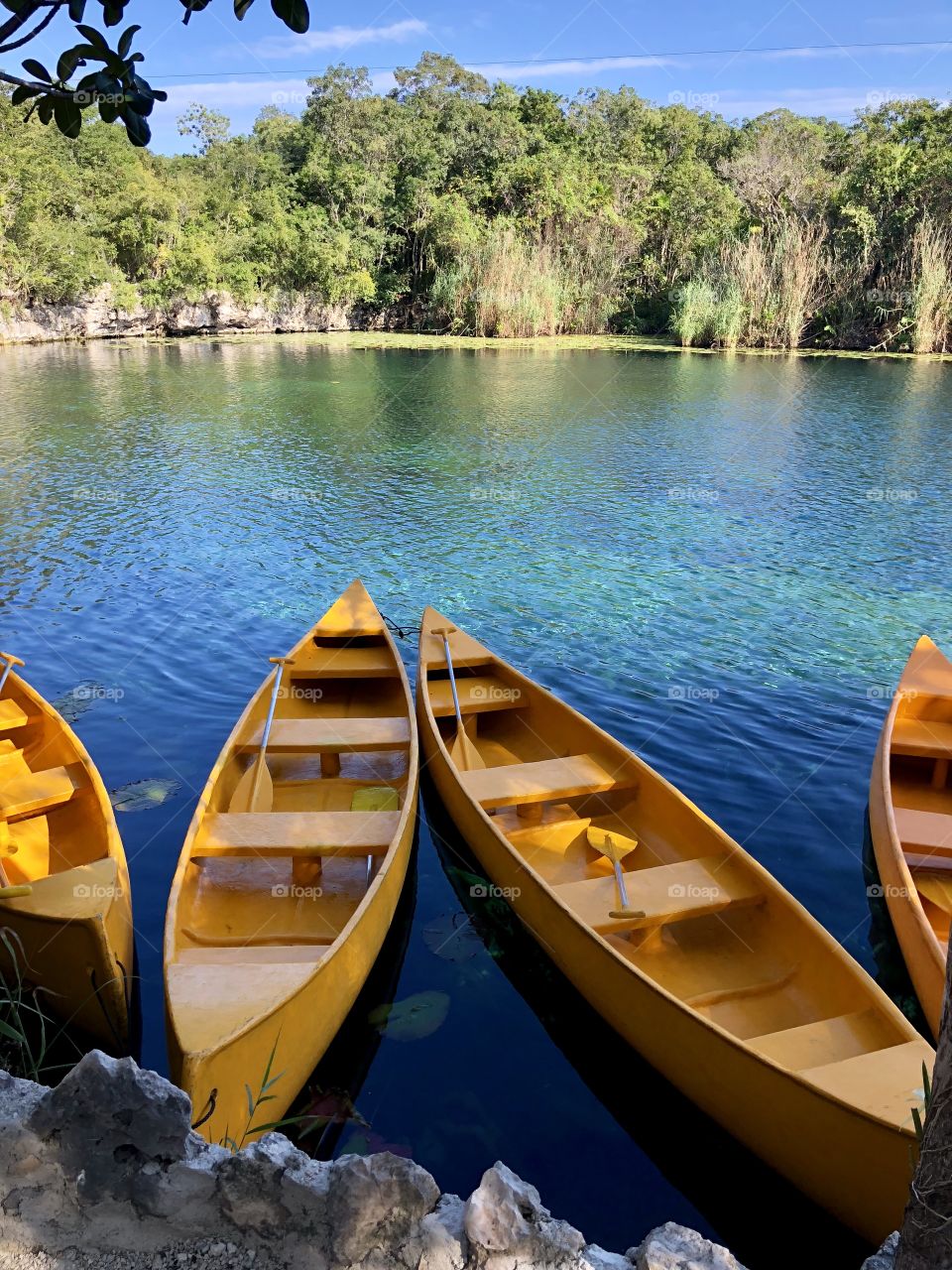 Paddle in the Cenote