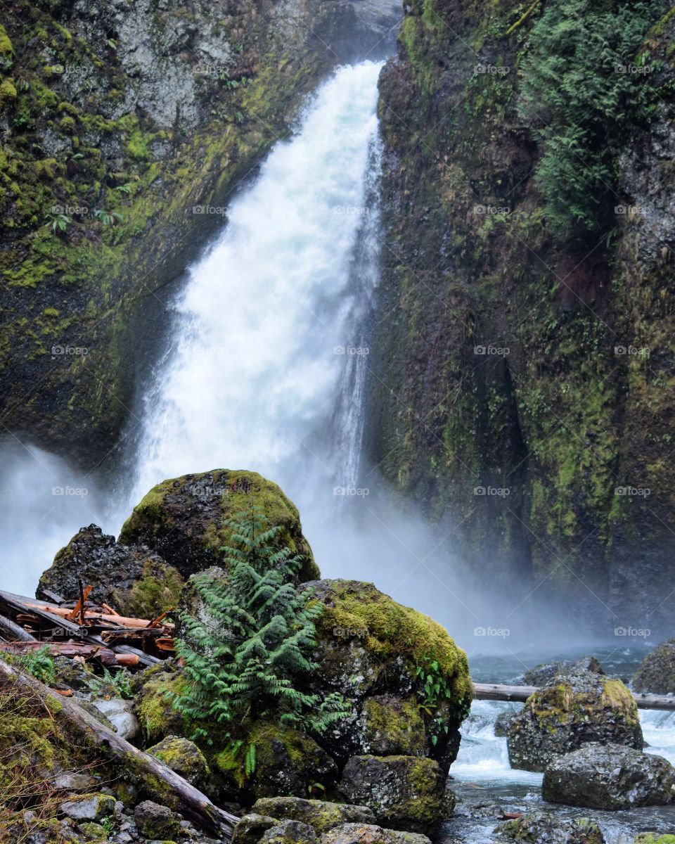 Waterfall flowing in forest