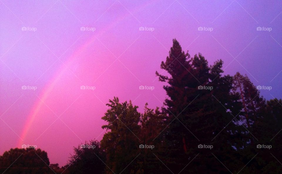 Rainbow Twilight
