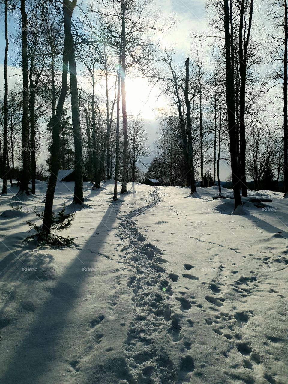 Snow trail