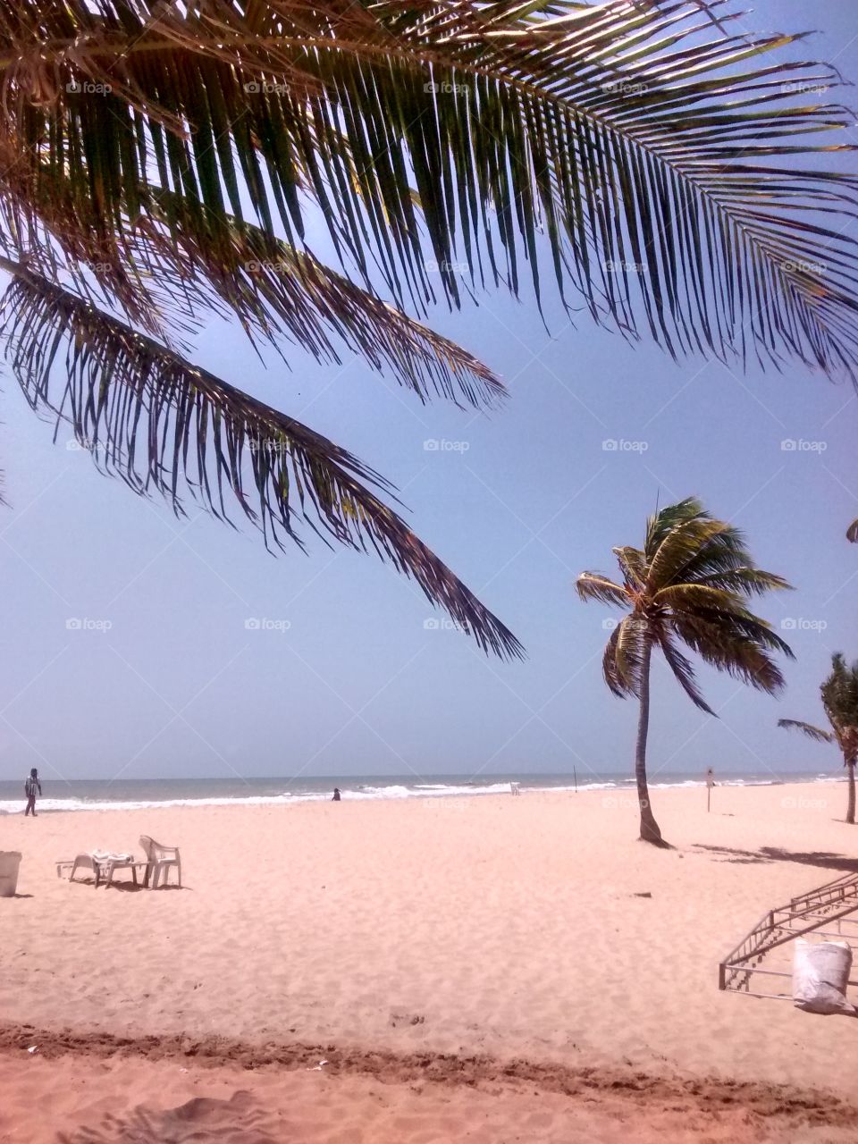 Beach, Sand, Tropical, Palm, Seashore