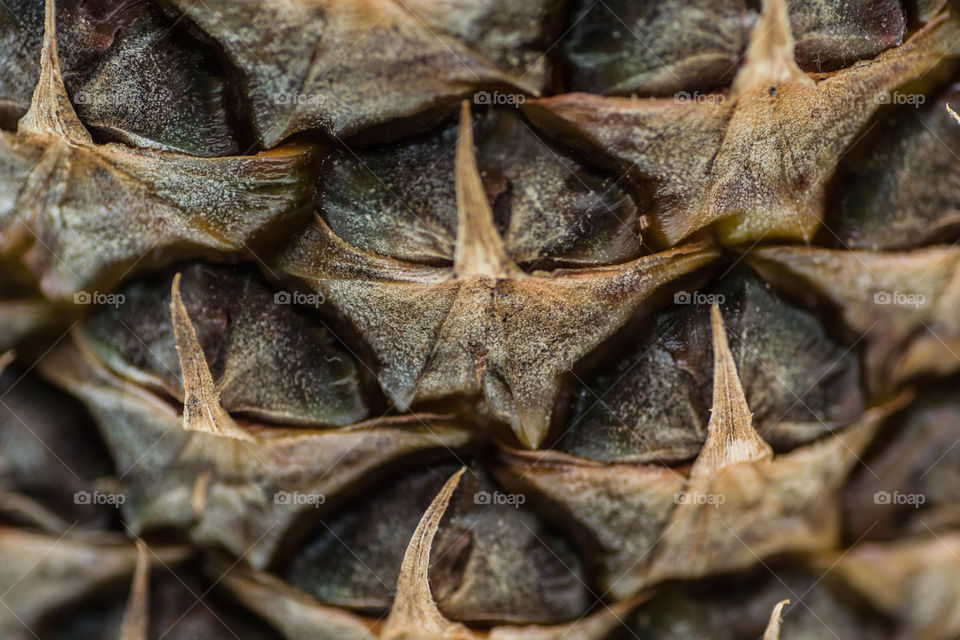 Macro shot of pineapple skin