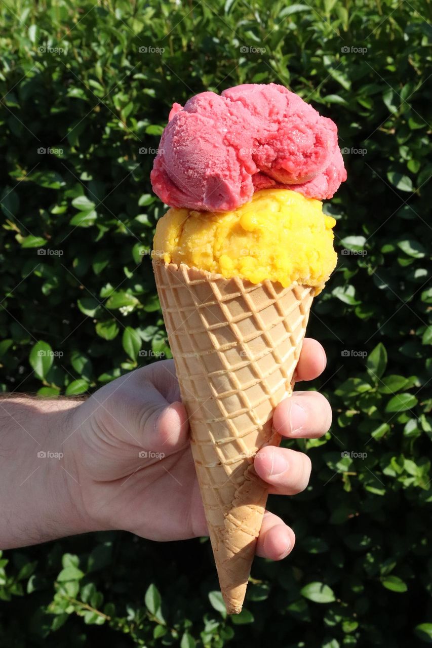 A hand holding an ice cream cone with two colored fruit flavored sorbets