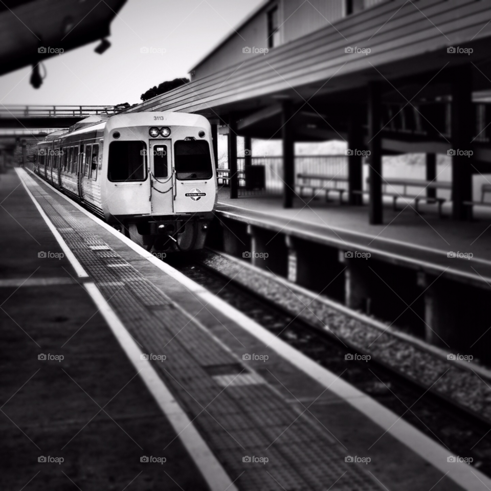 adelaide motion train black and white by thunder67au