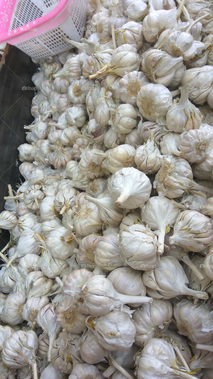 pulp garlic