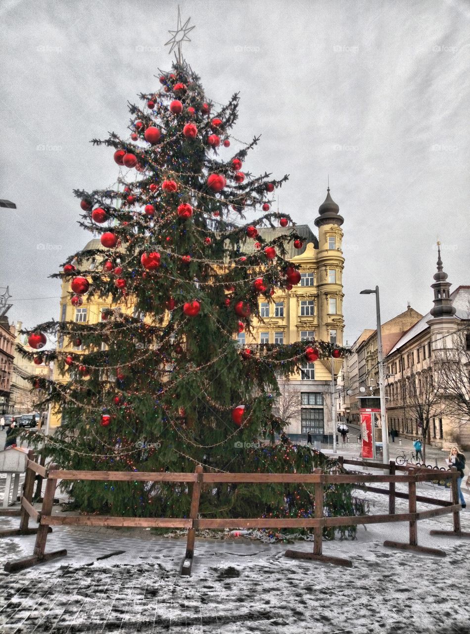 Aspettando l'Epifania