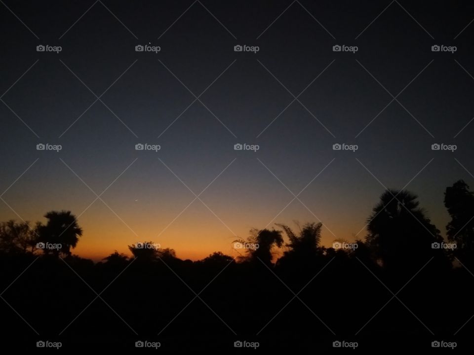 evening touch of nature